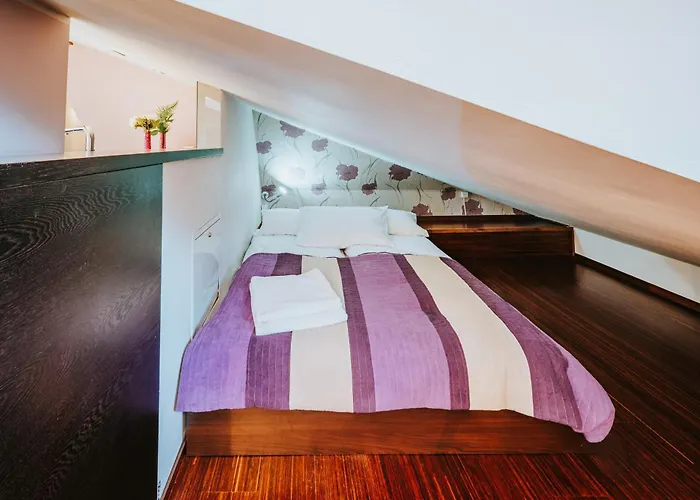 Visitzakopane Kalina Appartamento *